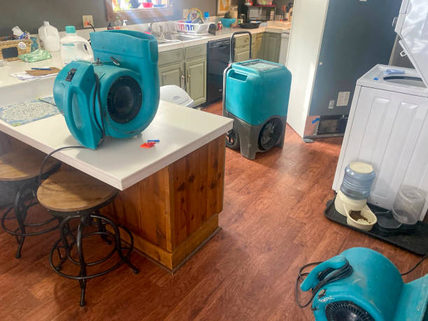 Best 24-hour water damage restoration  in Columbus, NM