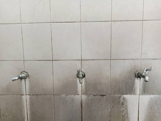 Water damage restoration mold remediation in Columbus, NM