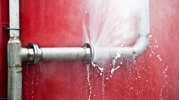 Best Water damage restoration insurance claims  in Columbus, NM